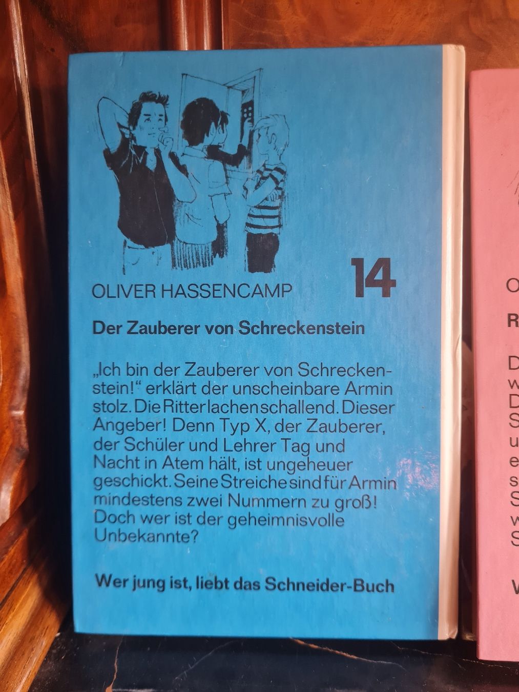 Libri: 4 Jugendbücher / Detektiv- & Abenteuerromane Schreckenstein – Usato da Bäretswil venduto da Rio. 2