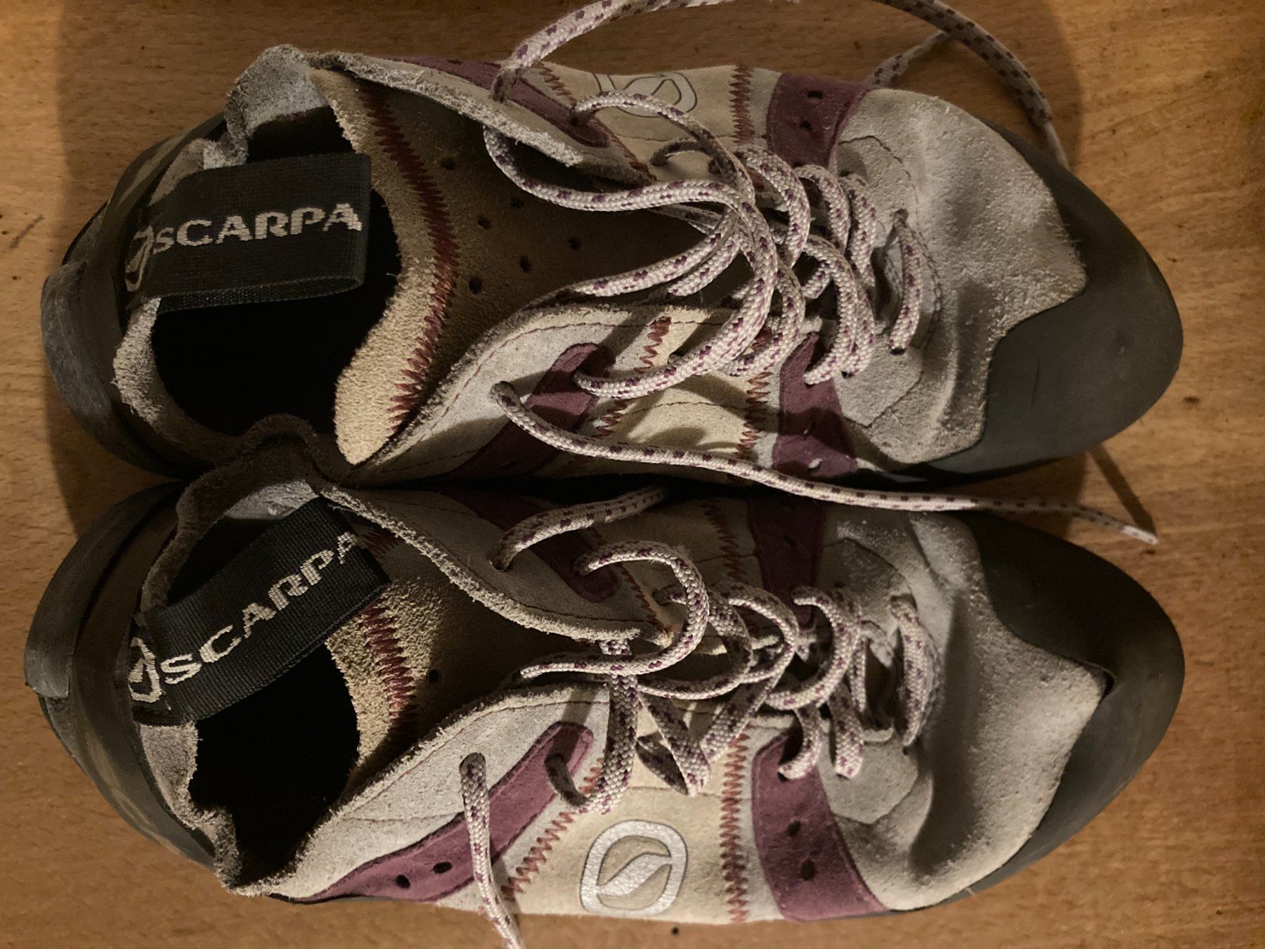 Scarpa Scarpe da uomo: Kletterfinken Scarpa 39 – Usato da Wangen b. Olten venduto da Machita