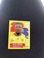 Panini RSA 6