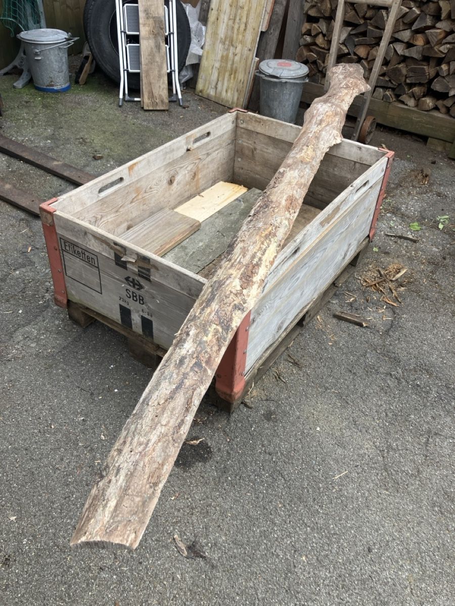Holzartikel: Birke holz – Gebraucht aus Burg AG von ala_cx8x