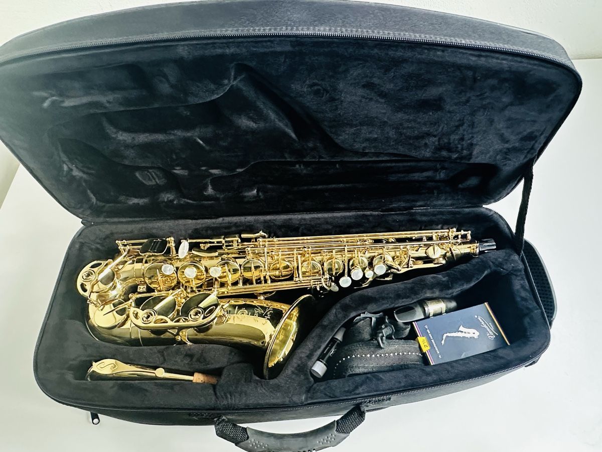 Selmer Strumenti musicali: Saxophone Alto SELMER Axos – Usato da Orbe venduto da Geneva83 2