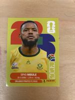 Panini RSA 16