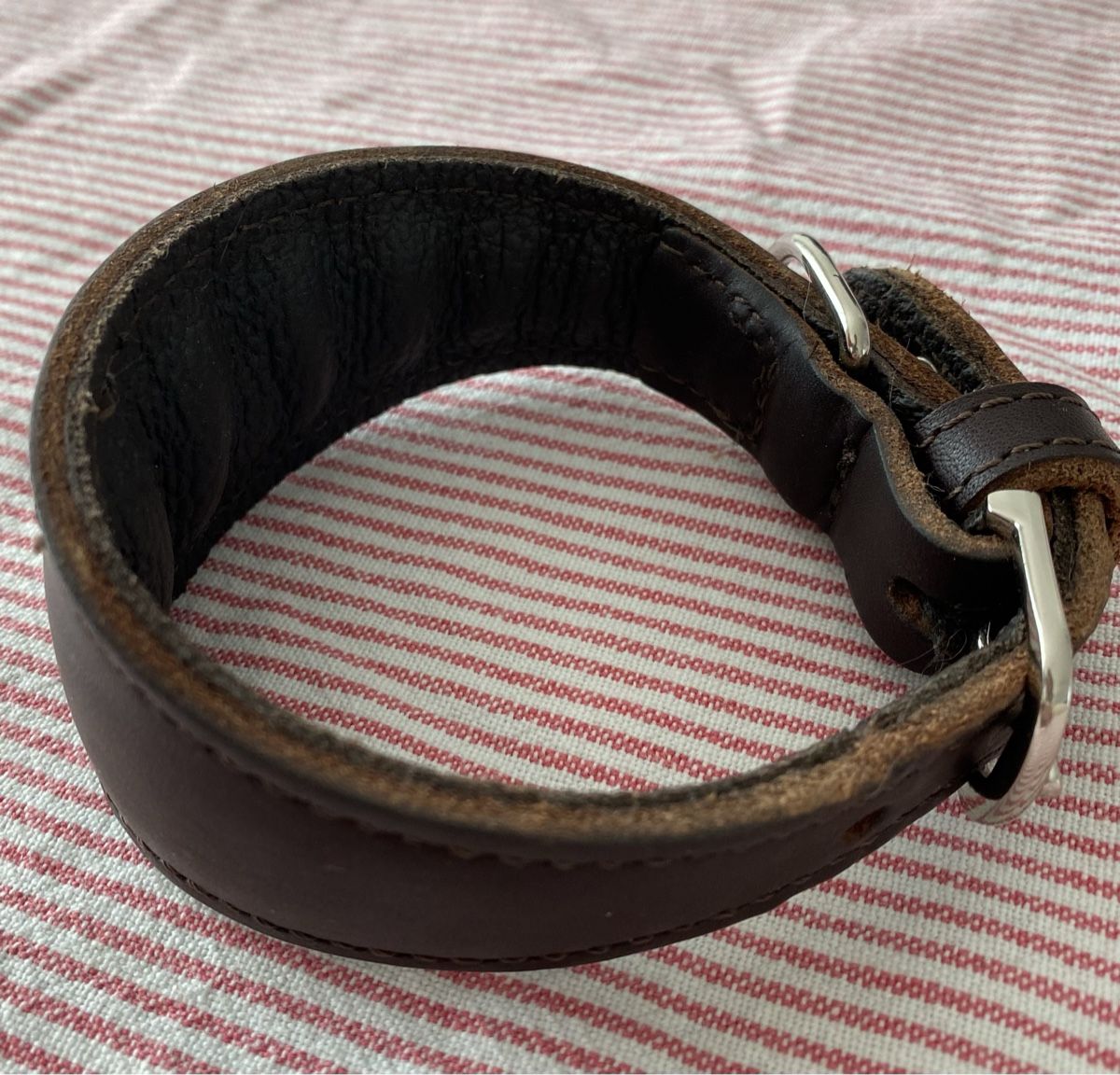 Hunter Leine & Halsband: Hunter Leder Hundehalsband ca 31cm – Gebraucht aus Zürich von Freuerei 2