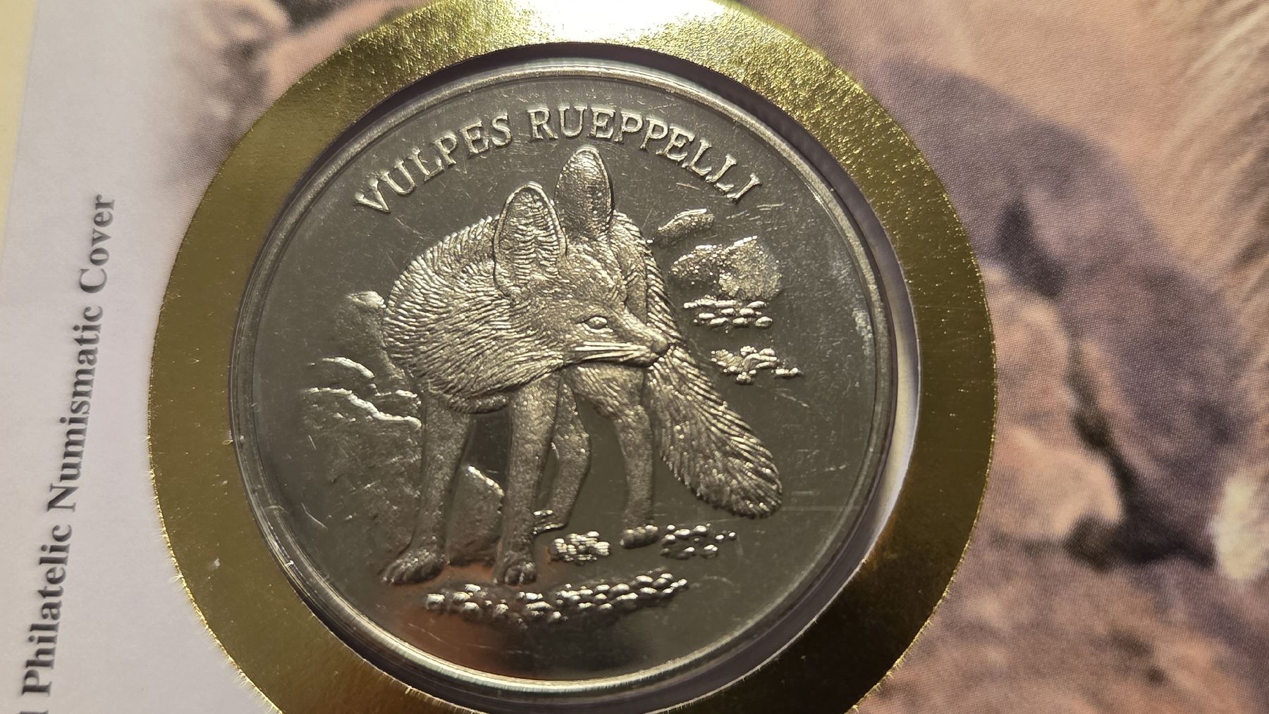 Medaglie: 2008 Medallienbrief WWF Rüppellfuchs – Usato da Arni AG venduto da Moth68 2