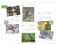 Vogelkalender mit Postkarten/Erlös Vogelwarte ohne Versandk.