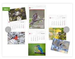 Vogelkalender mit Postkarten/Erlös Vogelwarte ohne Versandk.