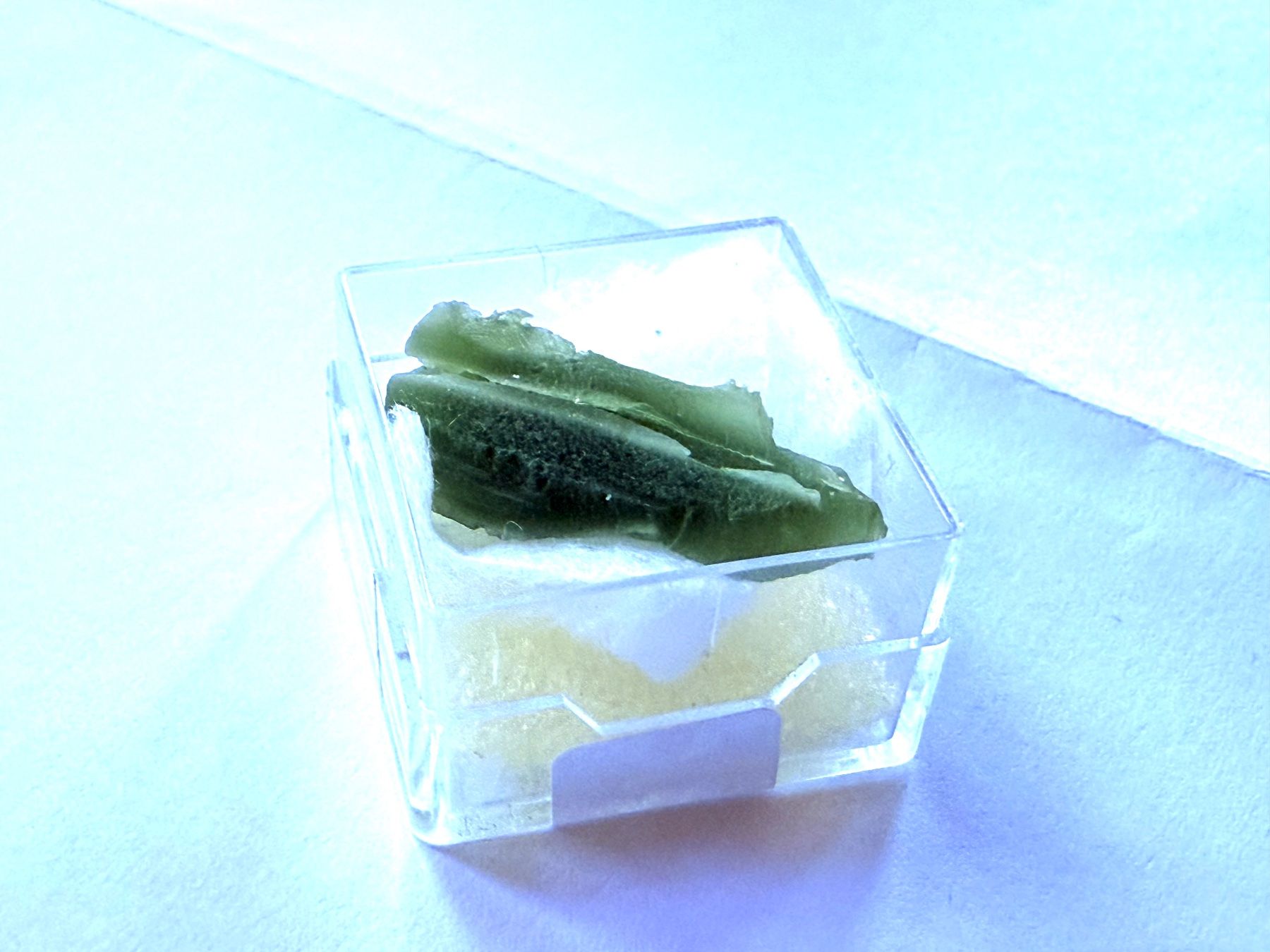 Pietre preziose: Seltene 10ct Moldavit Tschechisches Meteoritglas – Nuovo (secondo la descrizione) da Zuerich venduto da SonderArt-Wertgut