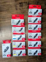 Canon Pixma original Tintenpatronen 551, 550