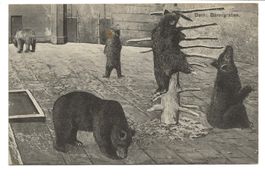 Bern - Bärengraben - La fosse aux Ours - 1912