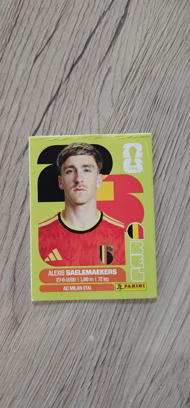 Panini Carte collezionabili: Fifa World Cup Panini BEL 12 – Nuovo (secondo la descrizione) da Biel VS venduto da volcom8702