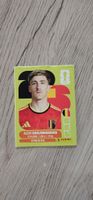 Fifa World Cup Panini BEL 12