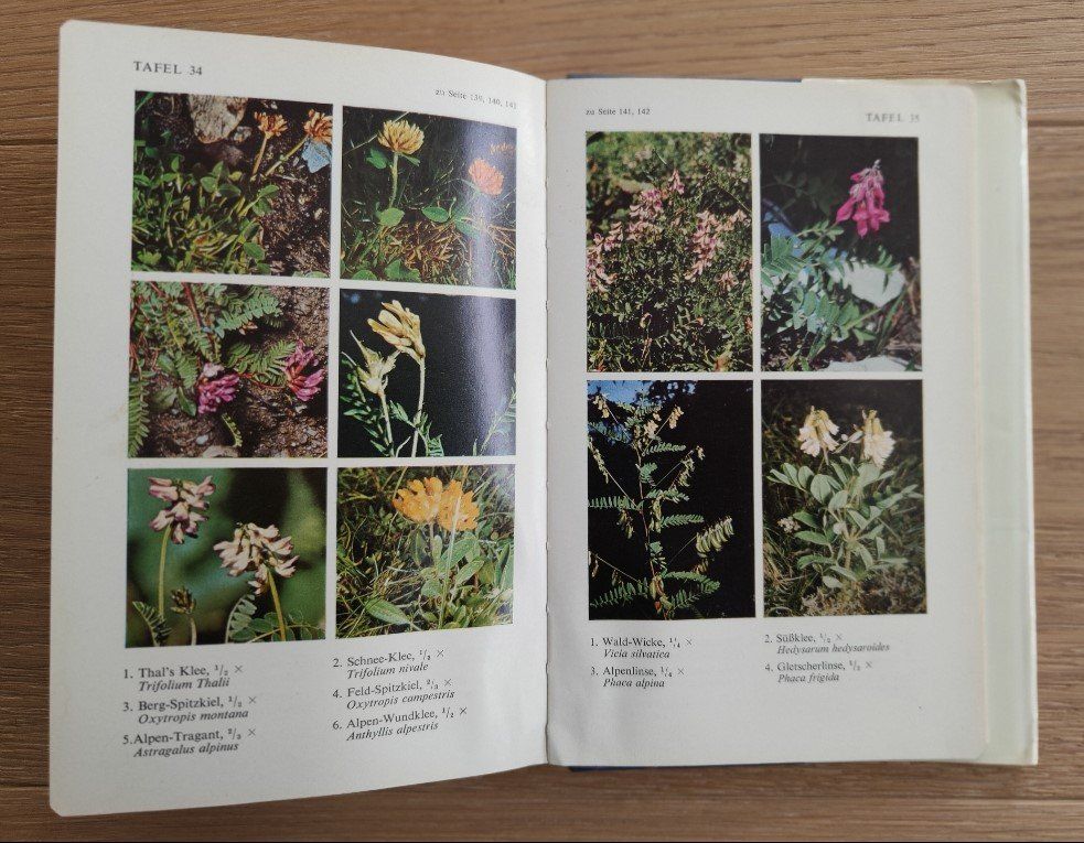 Libri: Unsere Alpenflora – Usato da Sigriswil venduto da Ricola1977 2