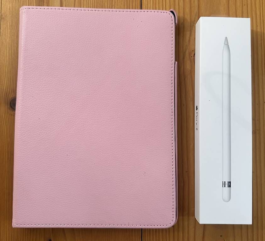 Apple Tablet PC: IPAD PRO 9.7 WIFI 128GB Rose – Usato da Utzenstorf venduto da Dirado 3