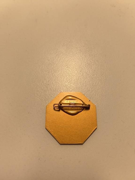 Placchette & Badge: Anstecker Schweizerische Lourdes Wallfahrt – Usato da Wauwil venduto da Mango125 1