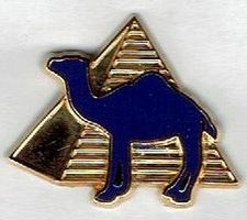 Camel mit Pyramide