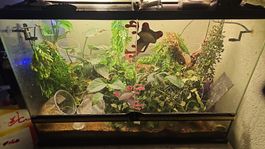 Exoterarium 90x60x45