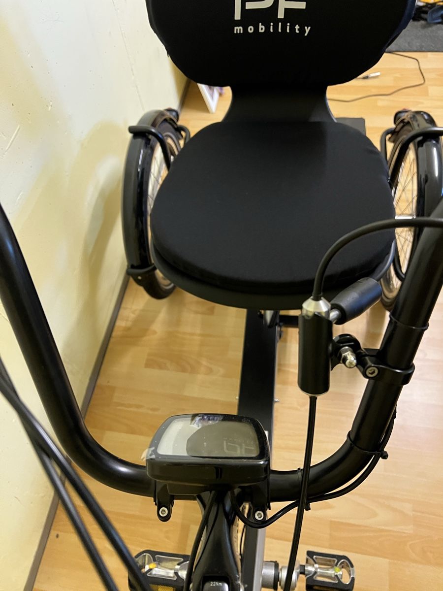 Biciclette: Elektro Dreirad Disco P20 – Nuovo (secondo la descrizione) da Eggersriet venduto da Buttergipfel 3