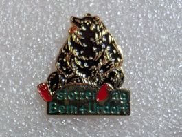Ansteckpin 255: Stotzer AG