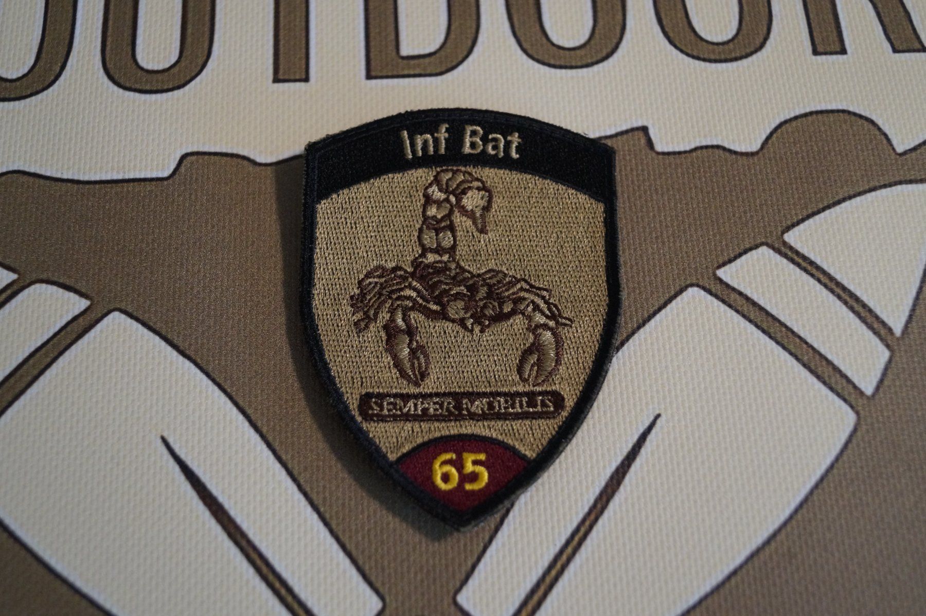 Schweizer Armee Placchette & Badge: INF BAT 65 – Usato da Schaffhausen venduto da aos_hv6l