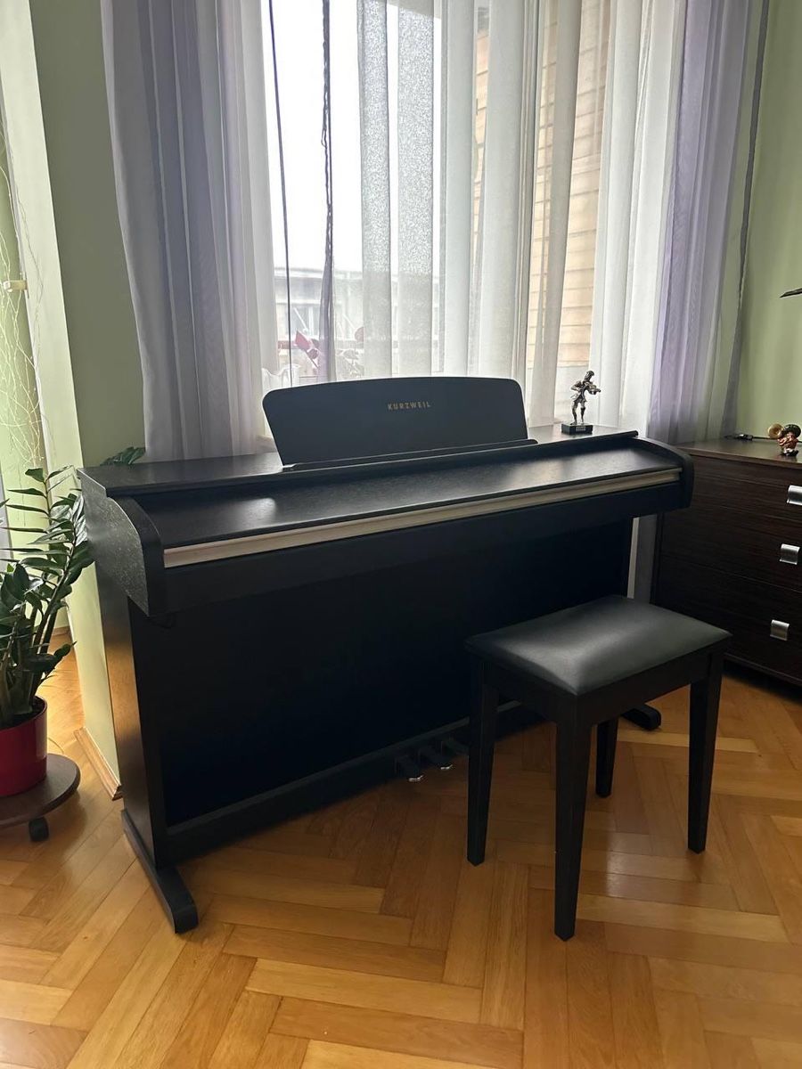 Strumenti musicali: Kurzweil / Mark-Pro ONEi – Usato da Naters venduto da Swissdancer