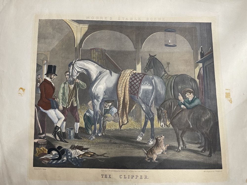 The Clipper / J.R. Mackrell 1846 (Gebraucht) in Bonstetten für CHF 50 ...