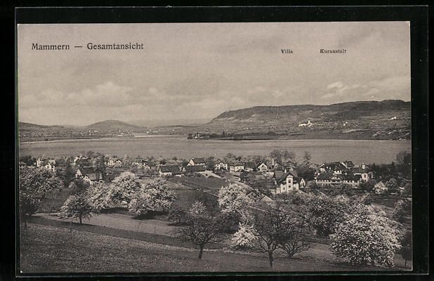 Cartoline postali: AK Mammern, Gesamtansicht – Usato da Berlin venduto da bartko-reher