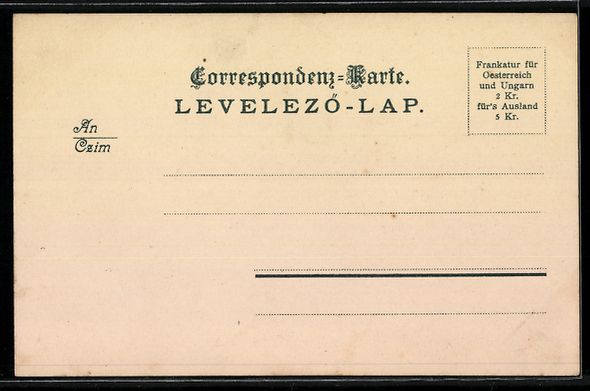Cartoline postali: Lausanne, Teilansicht der Stadt, Trauben – Usato da Berlin venduto da bartko-reher 1