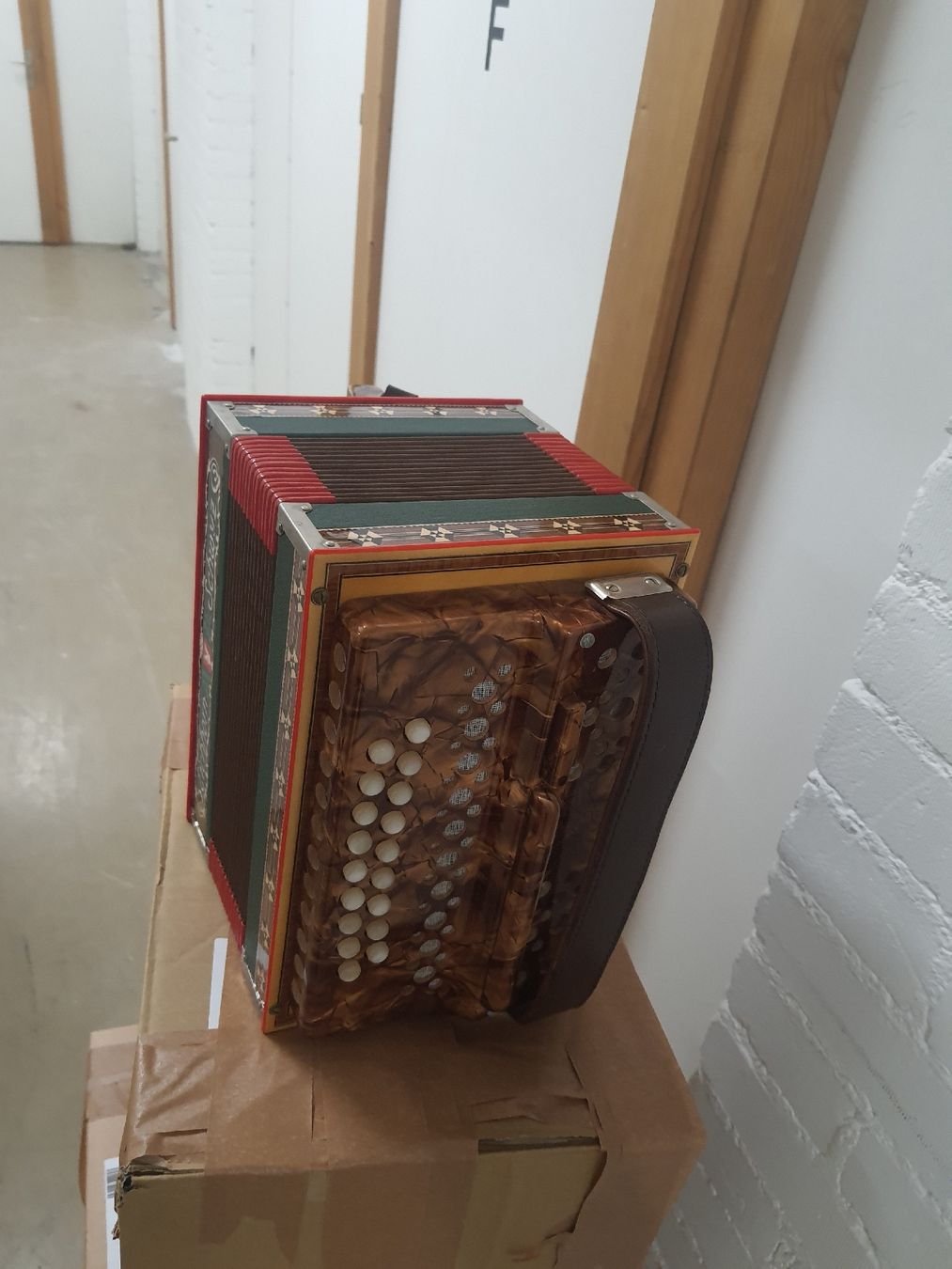 Eichhorn Strumenti musicali: schwyzerorgeli Eichhorn 18 basses... ton B... 3 voix – Usato da Pont-de-la-Morge venduto da Mirabelle0 5