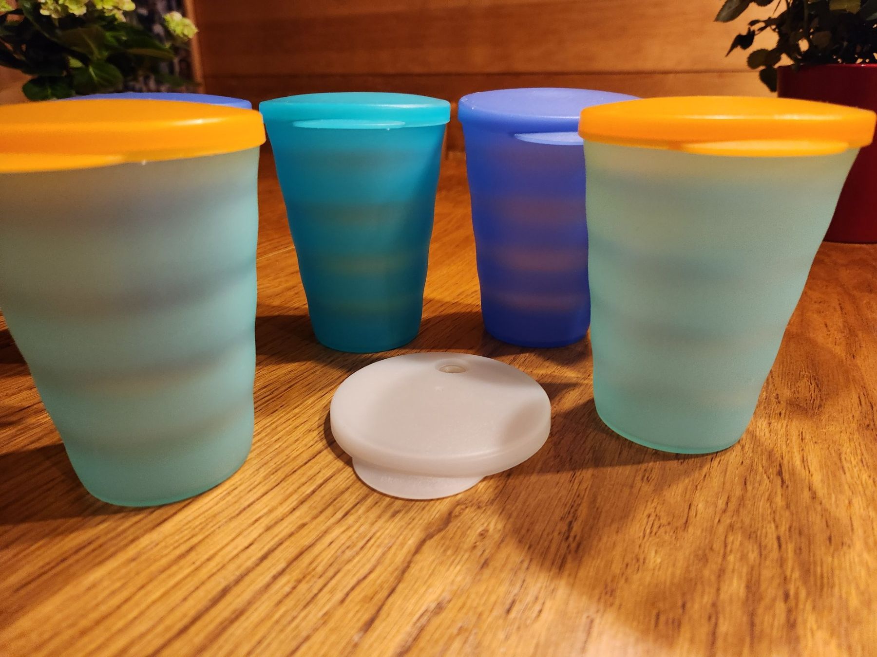 Tupperware Contenitori & Simili: Tupperware Becher 6 Stk. -mit 7 Deckeln – Usato da Gstaad venduto da Meiel2020 7