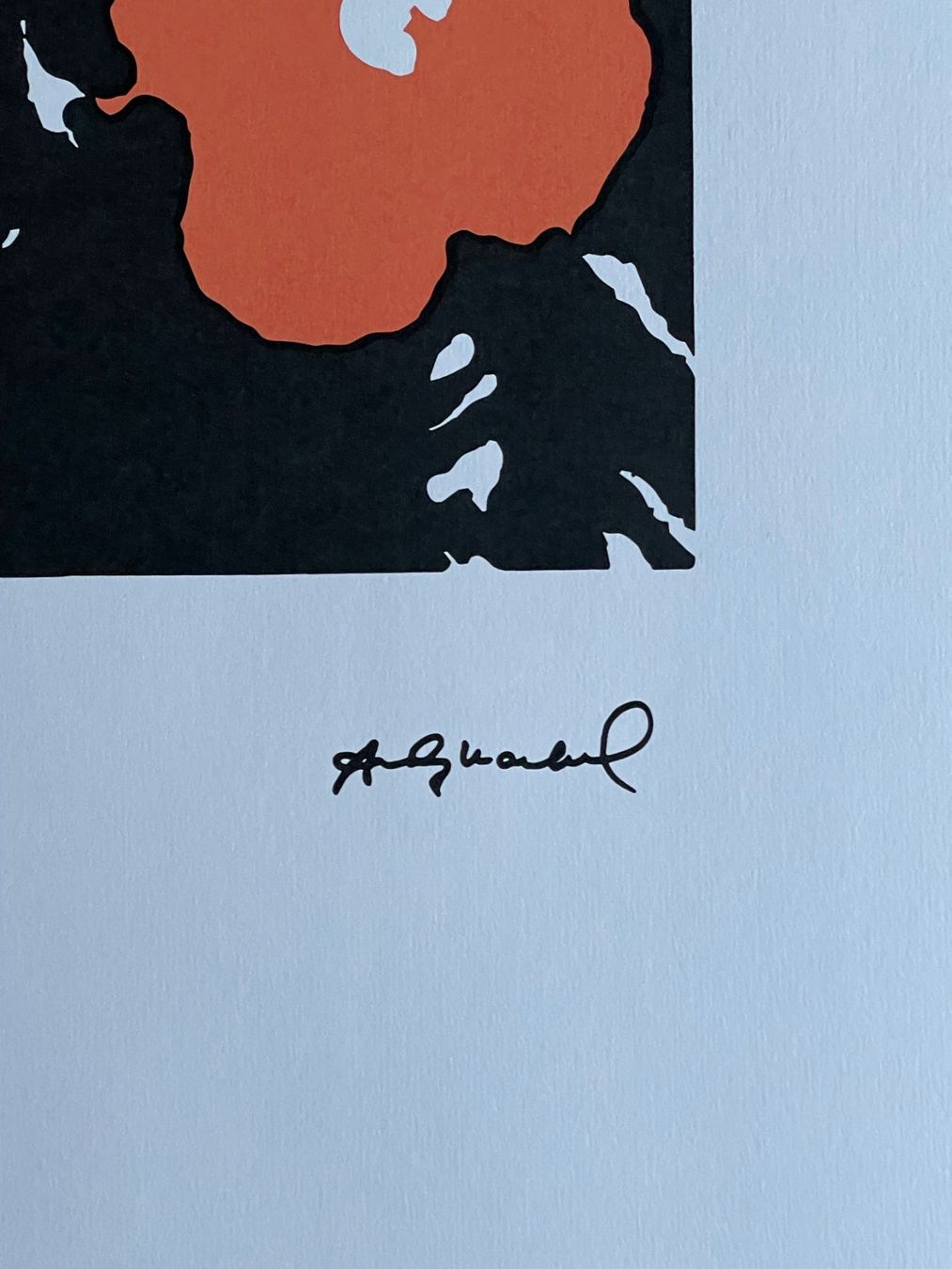 Foto & Immagini: Andy Warhol - Flowers 62/100 - Neu eingetroffen – Nuovo e nell'imballaggio originale da Adligenswil venduto da O_D_E_O_N 3