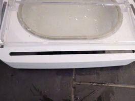 SureFeed Luftdichte Futterschale