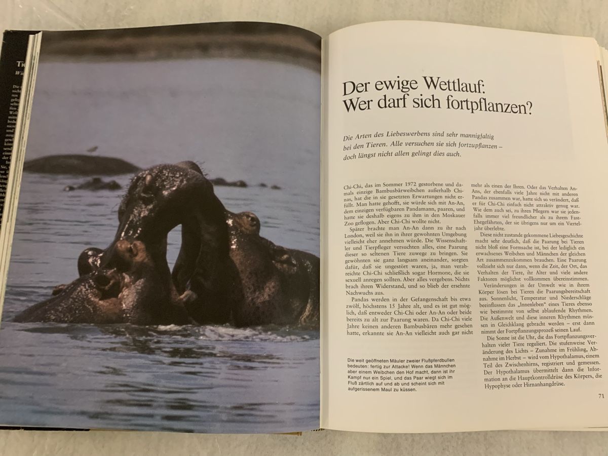 Libri: Tiere in ihrer Welt - Illustriertes Buch – Nuovo (secondo la descrizione) da Erlenbach ZH venduto da Ritschly 6