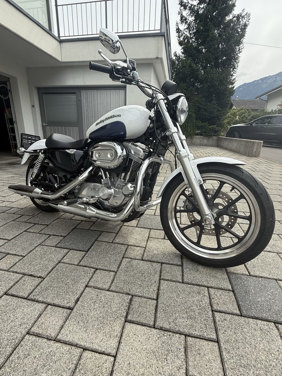 Harley-Davidson Chopper: Harley-Davidson XL883 Super Low. Top Zustand – Gebraucht aus Ibach von Skoda2004