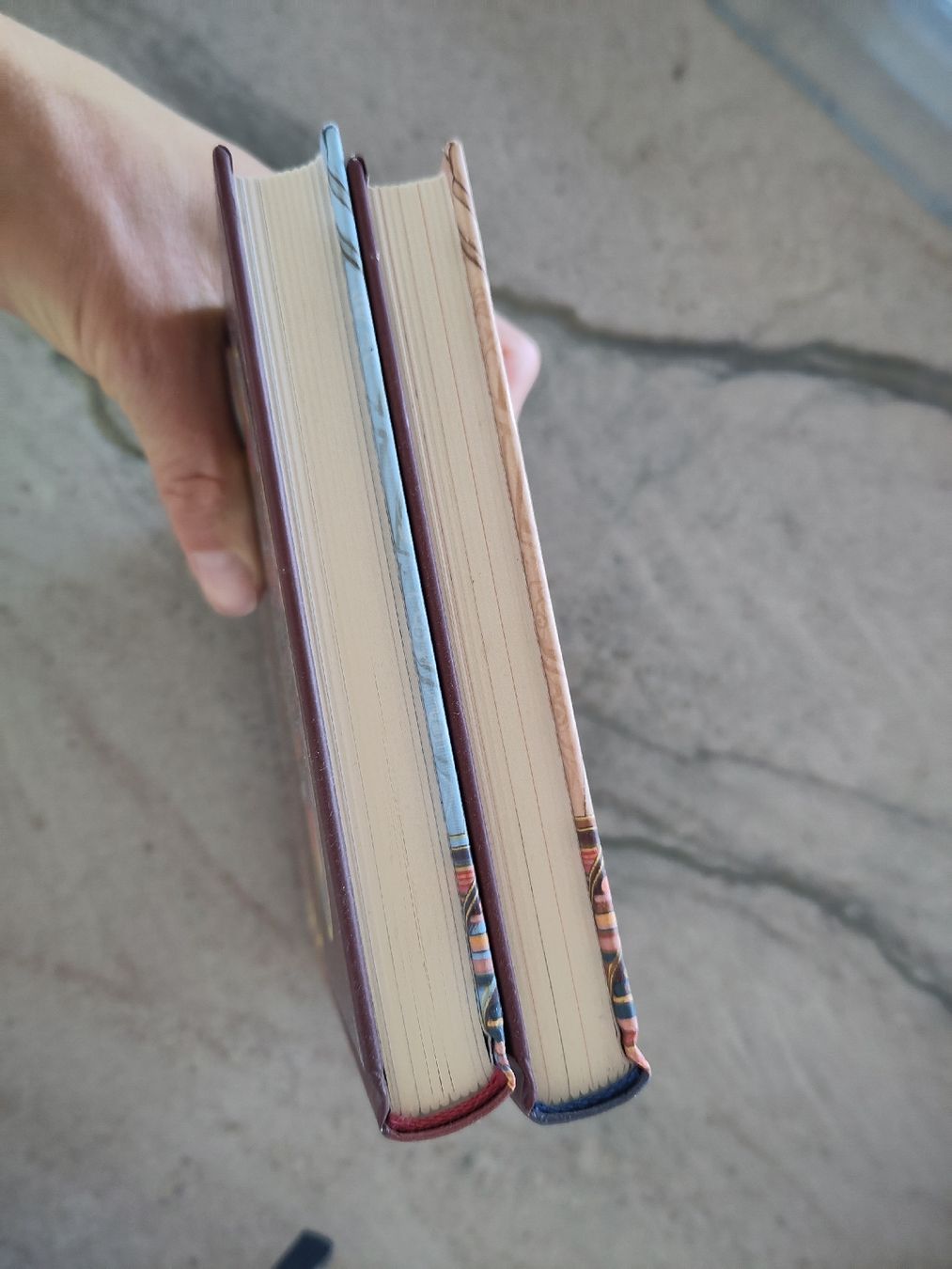 Bücher: Das Bücherdchloss, Band 1 & 2 – Gebraucht aus Dettighofen Lengw. von mai_75wt 2