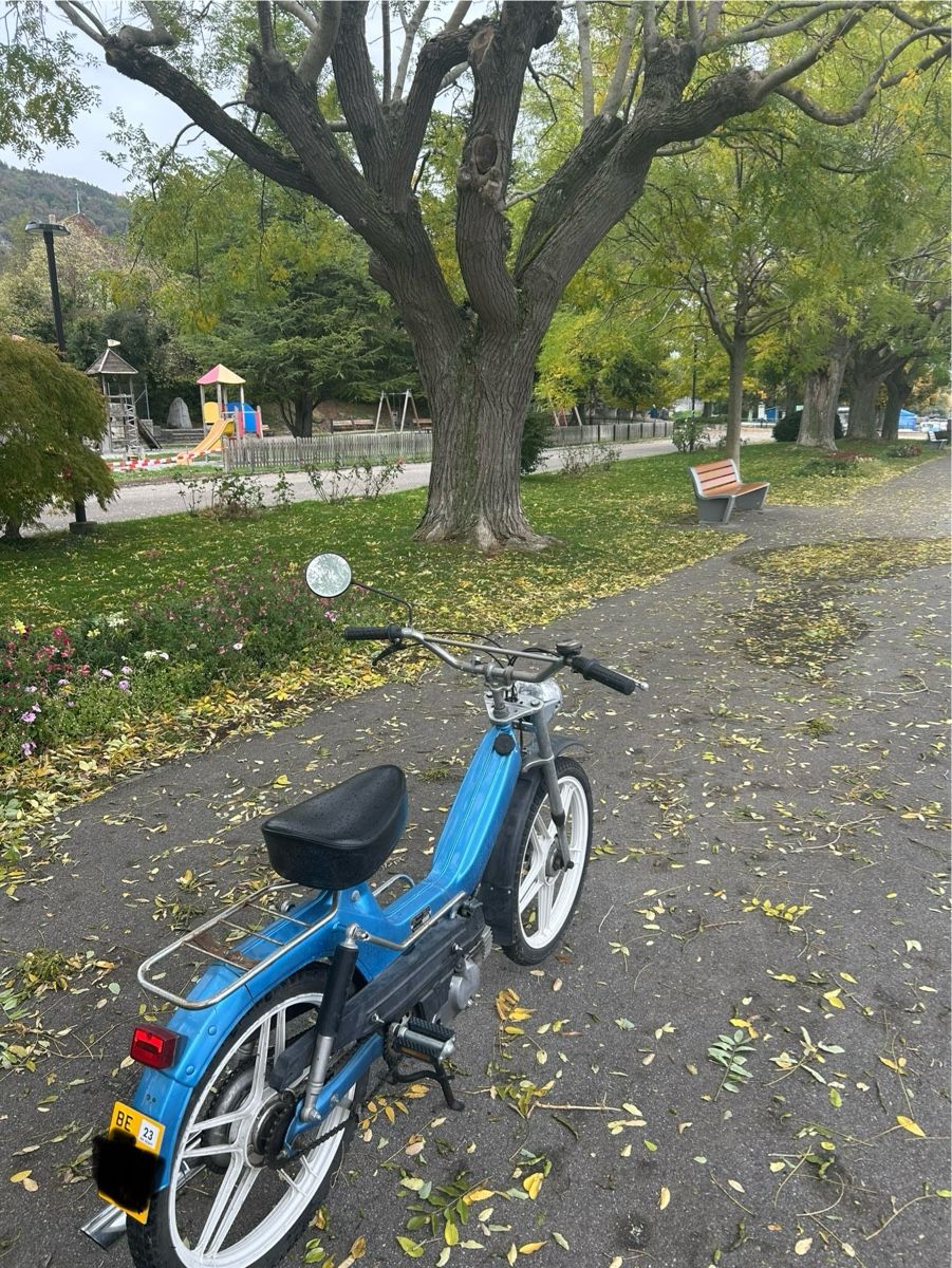 Puch Ciclomotori: Vélomoteur Puch Maxi S – Usato da La Neuveville venduto da max_z6h7 1