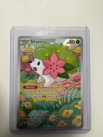 Shaymin | Illustration Rare | DRI 185/182 | EN