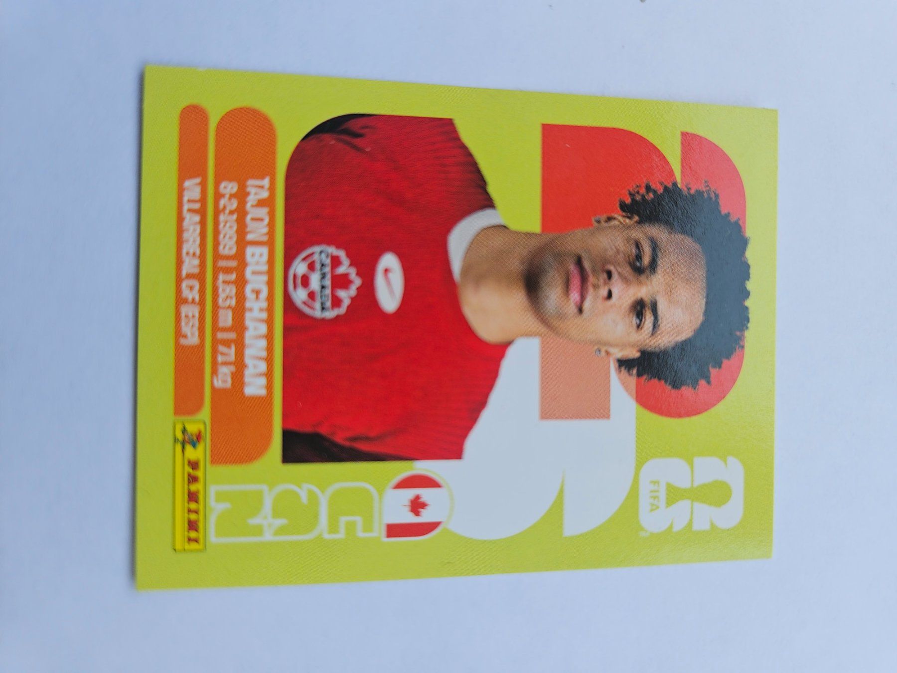 Panini Carte collezionabili: CAN 17 – Usato da Würenlingen venduto da Dinli