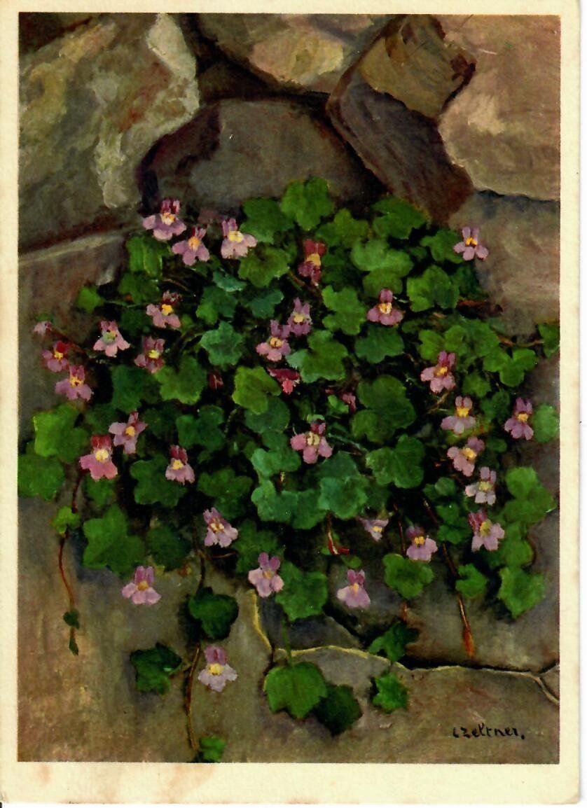 Cartoline postali: Tesserete P.P. nach Flühli LU – Usato da Hochdorf venduto da Ziegel-16 1