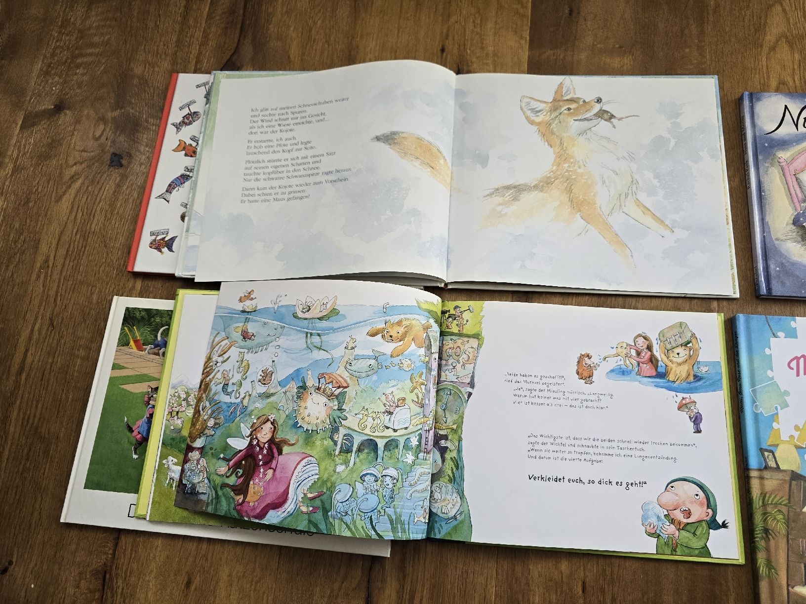 Livres: bücher set – D'occasion à Wittenbach par Tigerlili 2