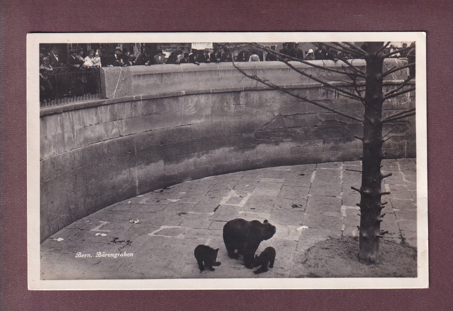 Cartoline postali: BERN - Bärengraben - Leute - 1925 – Usato da Pully venduto da nicecards