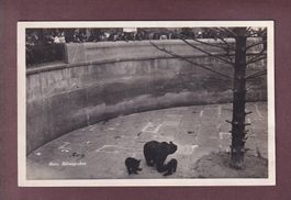 BERN - Bärengraben - Leute - 1925