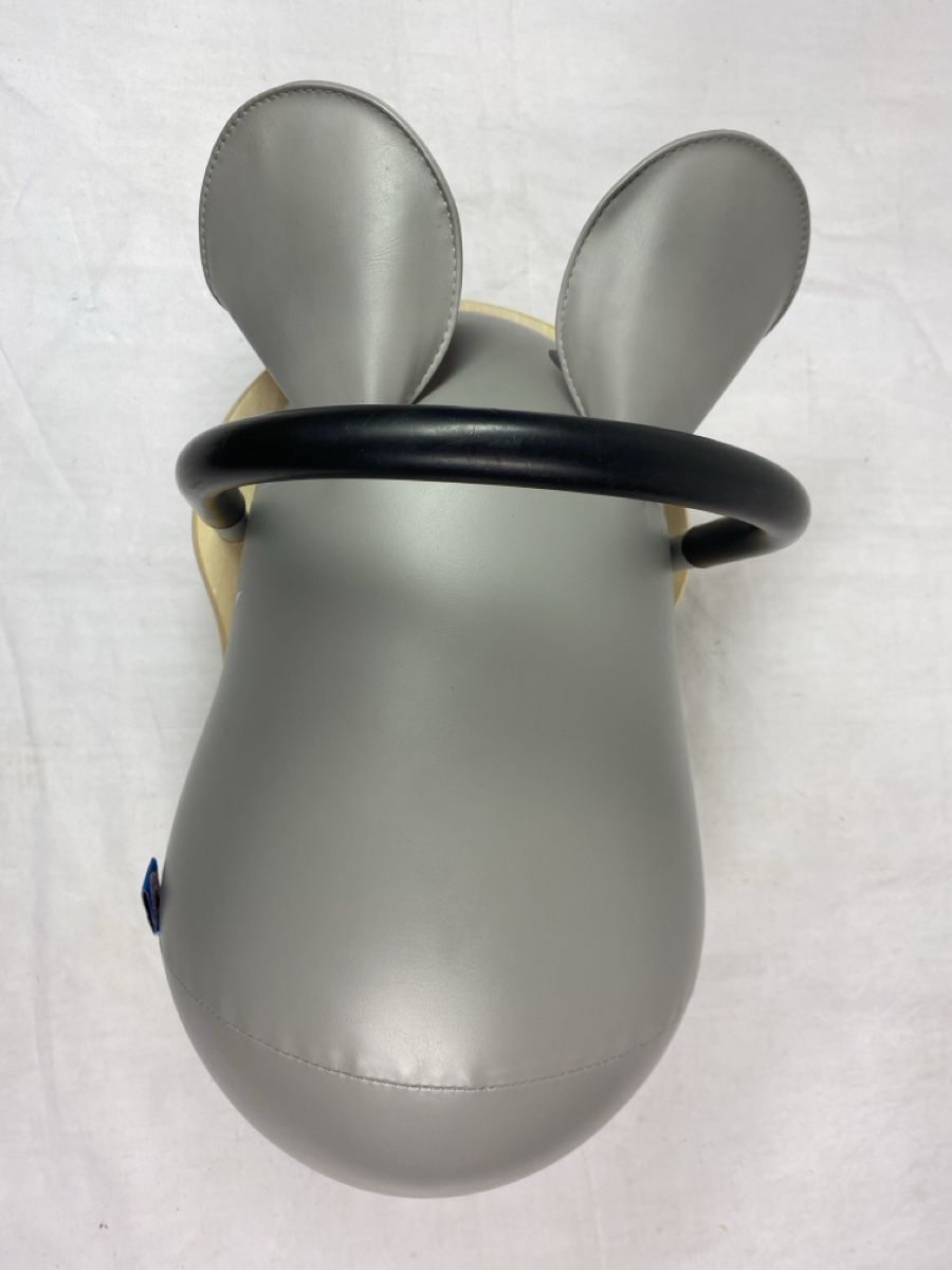 Veicoli per bambini: Wheely Bug Design  Hase für Kinder – Usato da sursee venduto da trilli-tralli 7