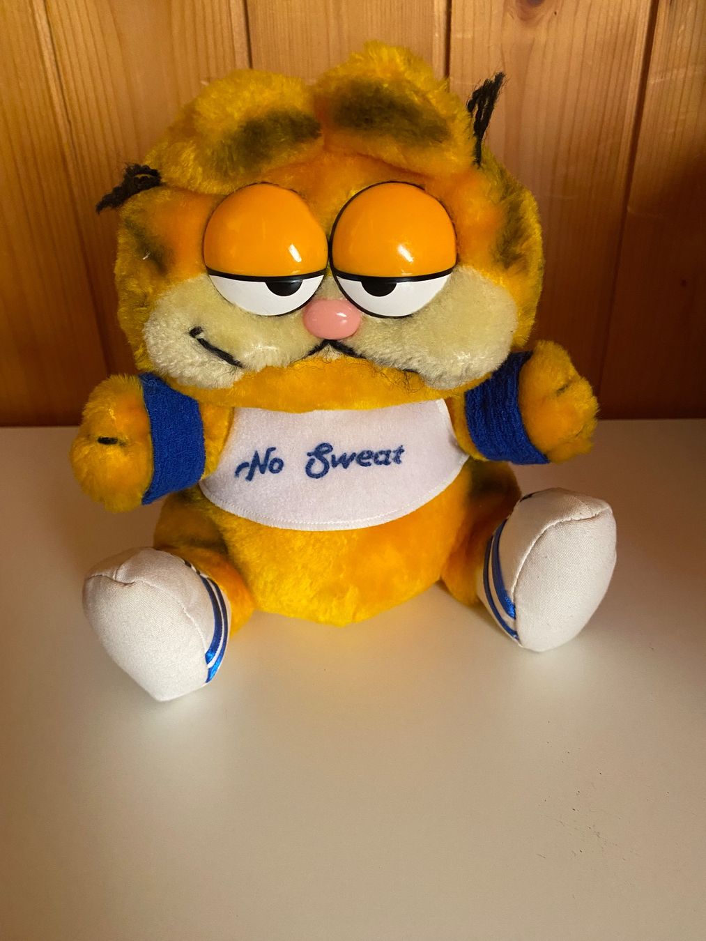 Giocattoli: Garfield Plüsch – Usato da Neuenhof venduto da v_trin 2