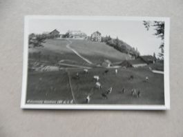 Karte Weissenstein SO Solothurn Witschaft Sennhaus 1938