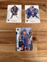 Sportzoo Series 2 + Playoffs 24/25 EV Zug