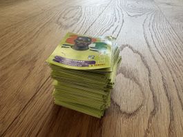 Panini WM 2026 220 Sticker
