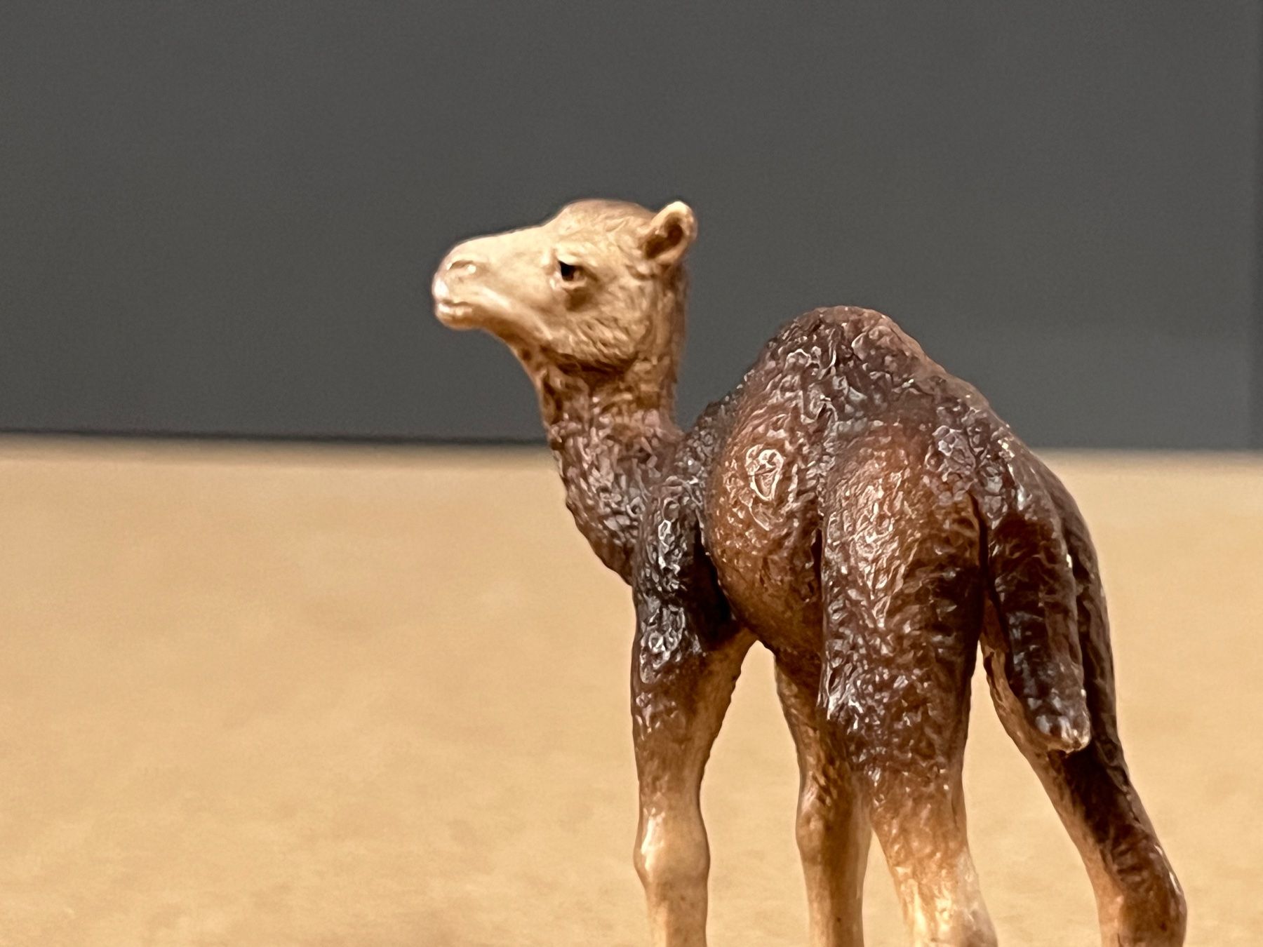 Schleich Sonstiges Spielzeug & Basteln: Schleich Dromedar Stute und Fohlen Kamel – Gebraucht aus Ennetbaden von  3