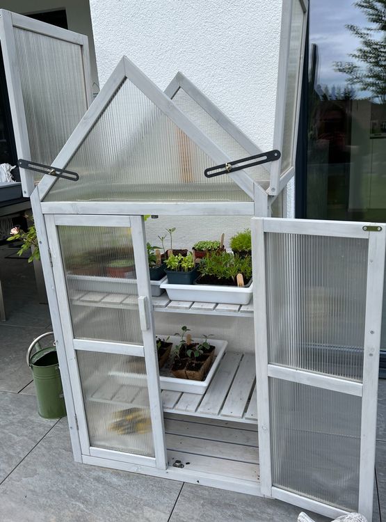 Gewächshaus / Anzuchthaus Balkon Holz Kaufen auf Ricardo