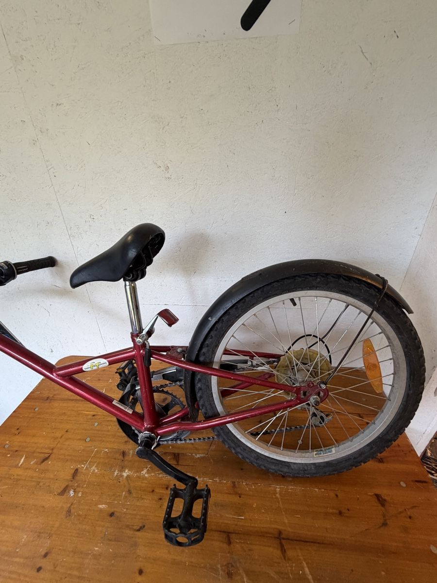 Biciclette: Fun-Trailer Schattenvelo – Usato da Gurmels venduto da SwissShop21 1