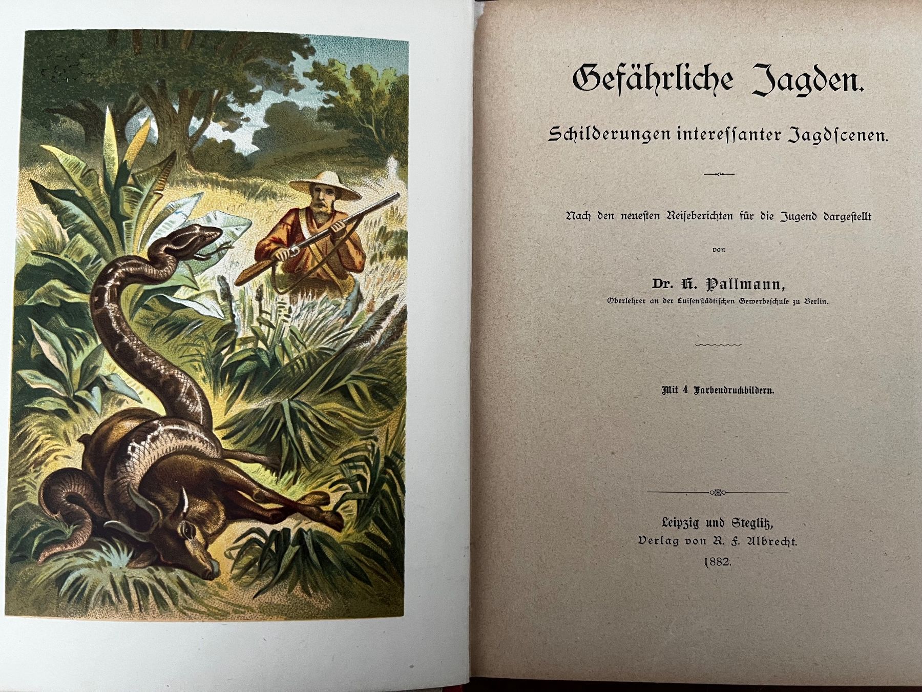 Libri: Antikes Buch: "gefährliche Jagden" 1882 – Usato da Adliswil venduto da Mandela 1